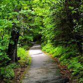 Review photo of Mt Pisgah Campground — Blue Ridge Parkway by Kelly G., August 25, 2021