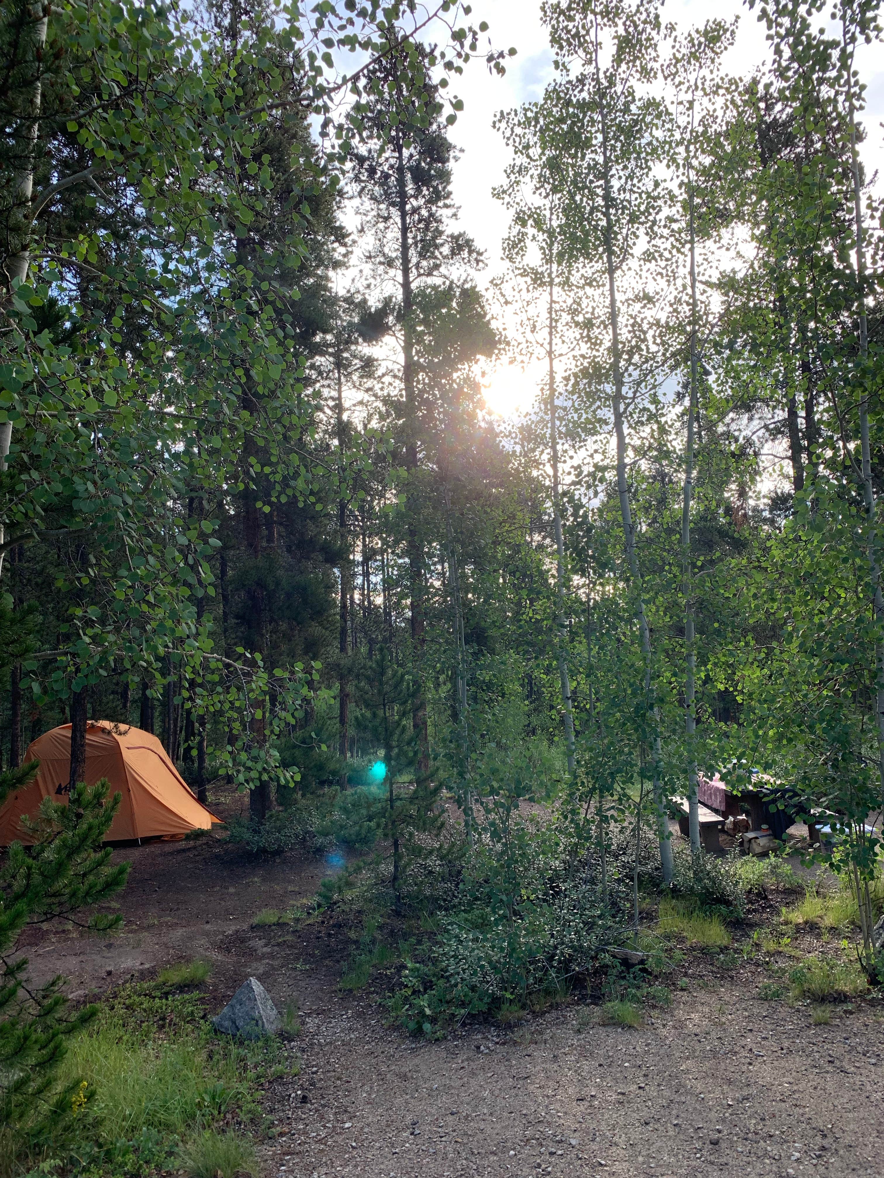 Camper submitted image from Twin Peaks Campground - 4