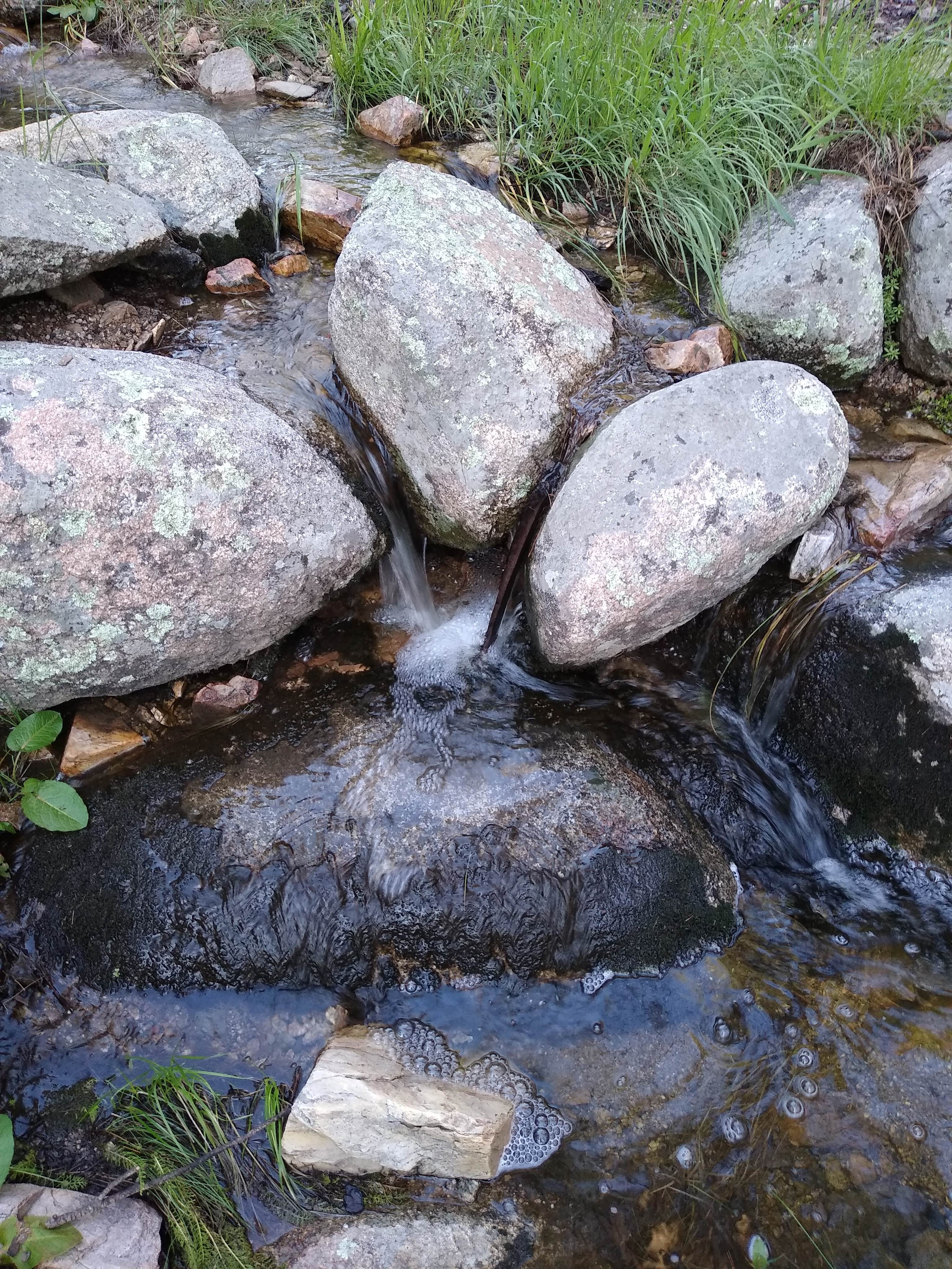 Camper submitted image from Whitetail Campground - 4