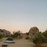 Review photo of Jumbo Rocks Campground — Joshua Tree National Park by Sarah R., August 25, 2021