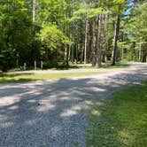 Review photo of Letchworth State Park Campground by Danielle H., August 25, 2021