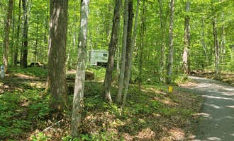 Camping near Natural Tunnel State Park Yurts — Natural Tunnel State Park: Cave Springs Recreation Area, Dryden, Virginia
