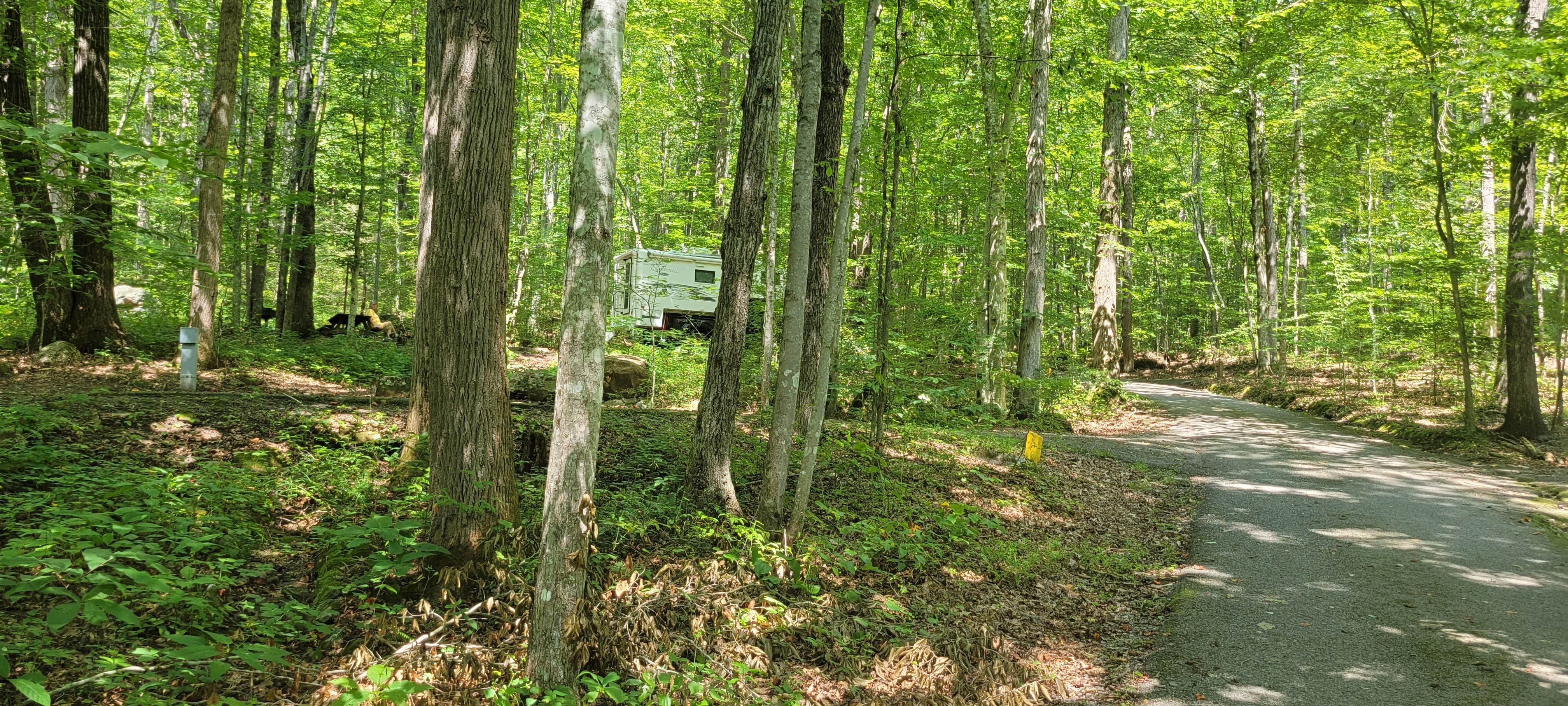 Camper submitted image from Cave Springs (VA) — George Washington & Jefferson National Forest - 1