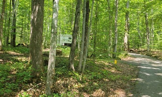 Camping near Cove View Campground — Natural Tunnel State Park: Cave Springs Recreation Area, Dryden, Virginia