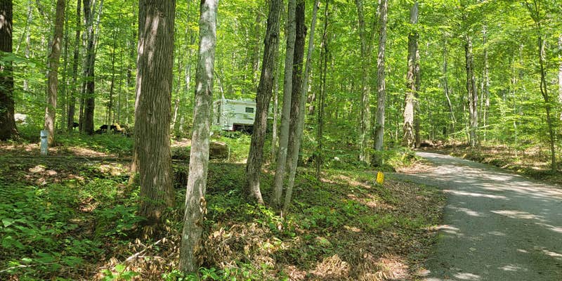 Camper submitted image from Cave Springs (VA) — George Washington & Jefferson National Forest
