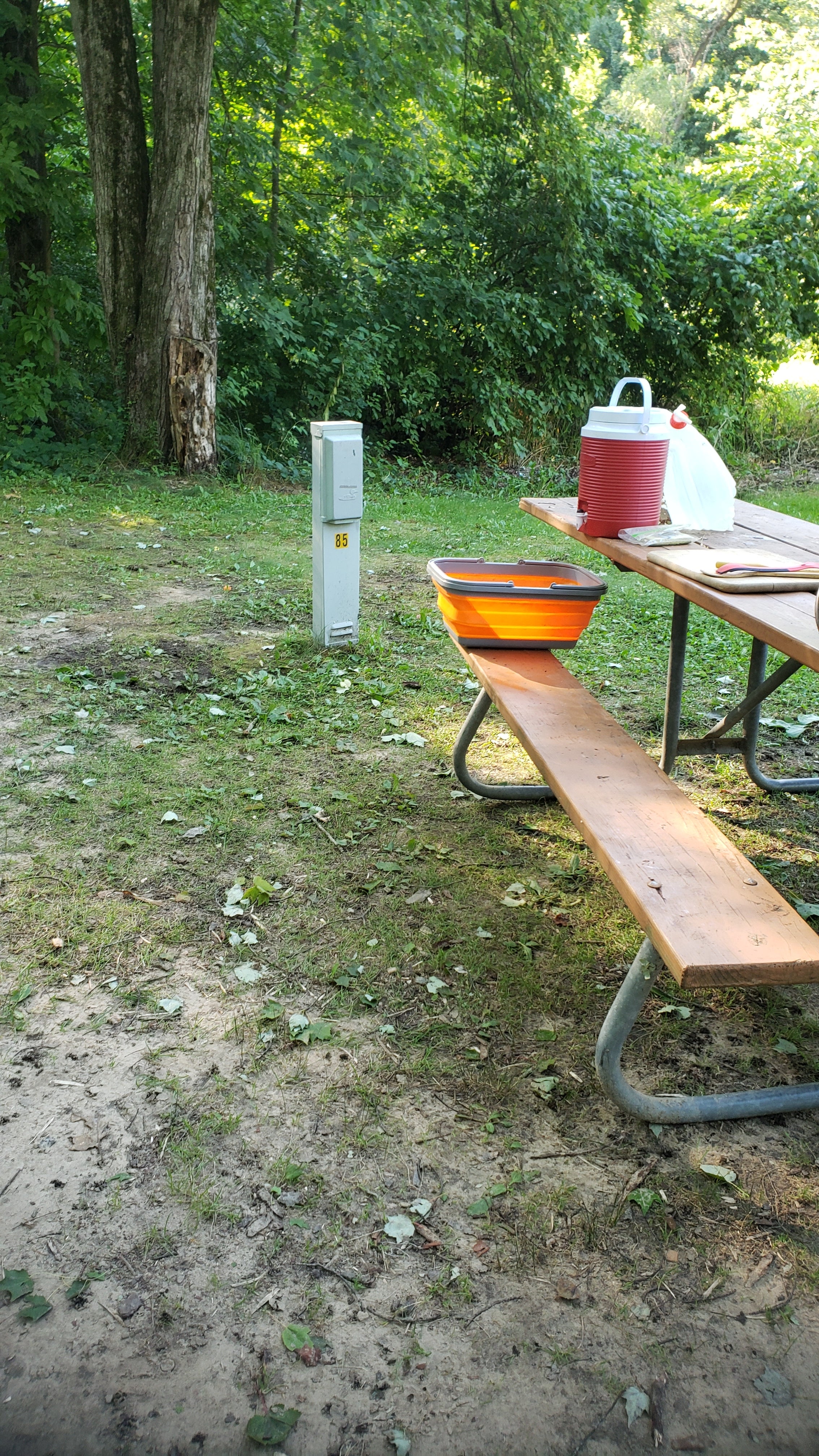 Camper submitted image from Portage Lake Campground — Waterloo Recreation Area - 5
