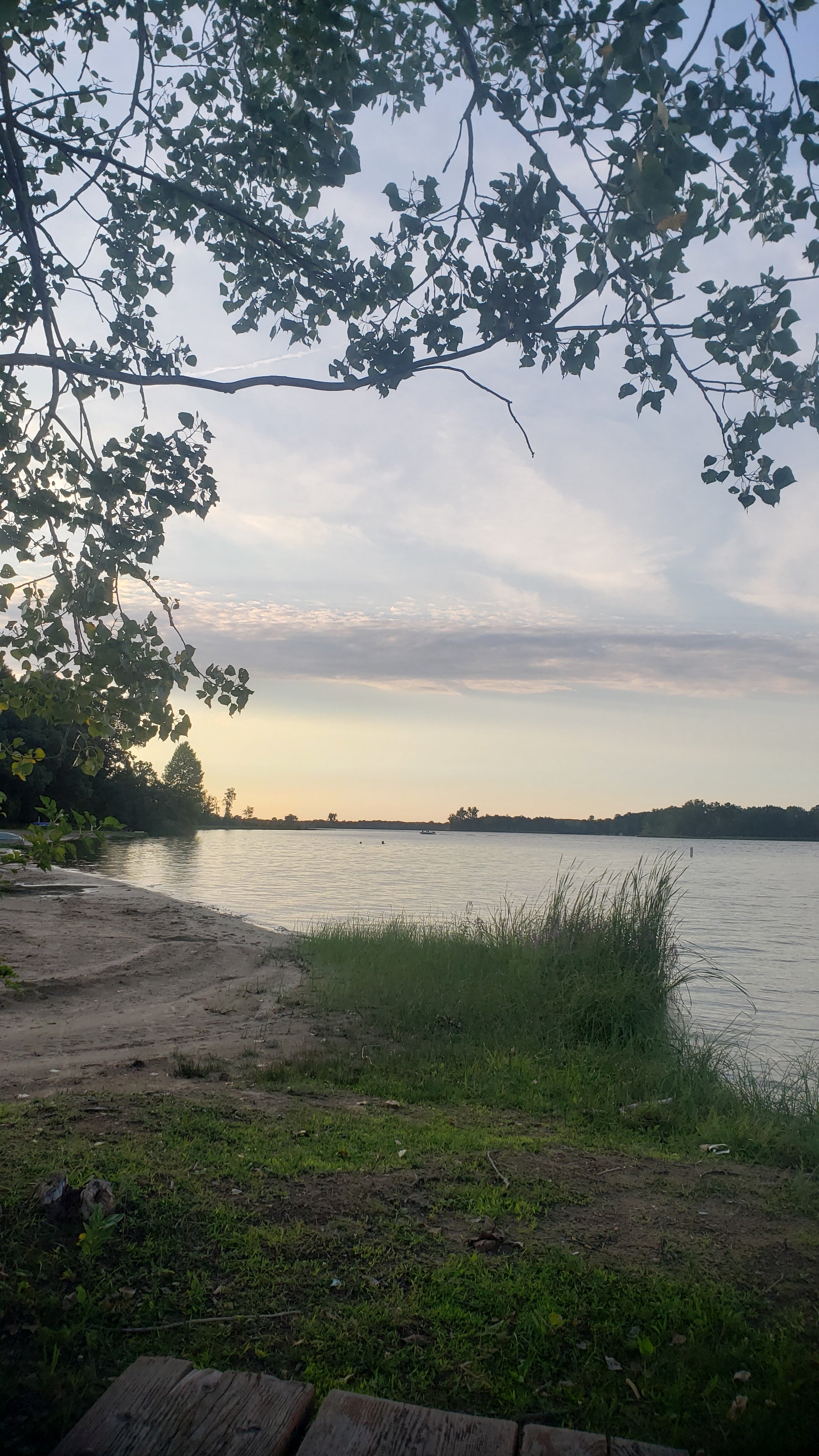 Camper submitted image from Portage Lake Campground — Waterloo Recreation Area - 3