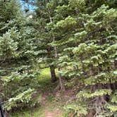 Review photo of Blue Lake Campground - Temporarily Closed by Devin G., August 25, 2021