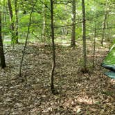 Review photo of Chestnut Creek Campground by Jorge S., August 25, 2021