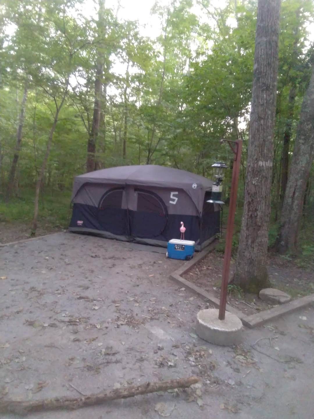 Mark N.'s photo at Elizabeth Furnace Campground near Toms Brook, VA