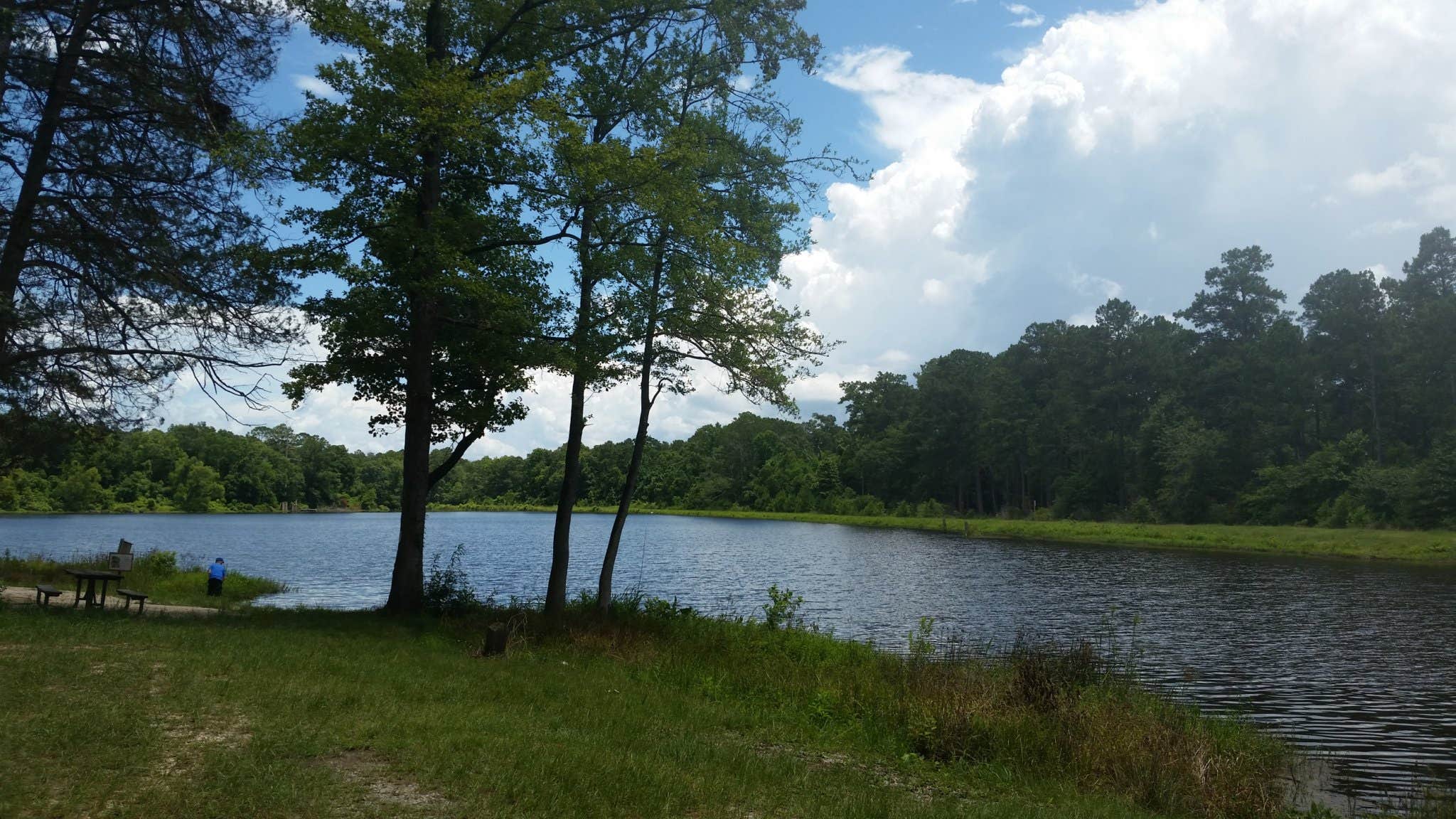 Camper-submitted photo at Fullerton Recreation Area — Kisatchie National Forest near Pitkin, LA