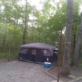 Review photo of Elizabeth Furnace Campground by Mark N., August 25, 2021