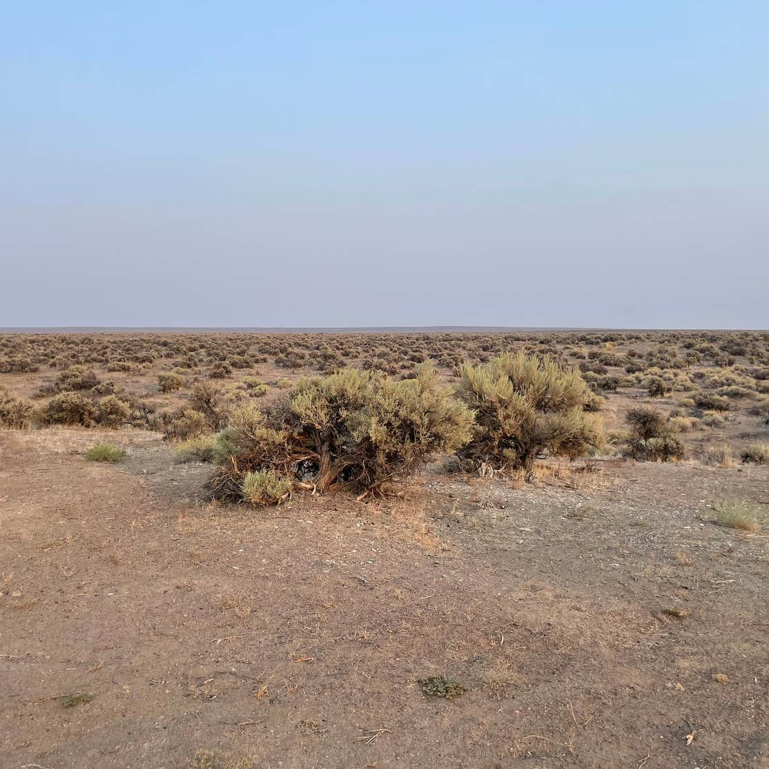 Oregon Sunstone Public Collection Area Camping Plush, OR