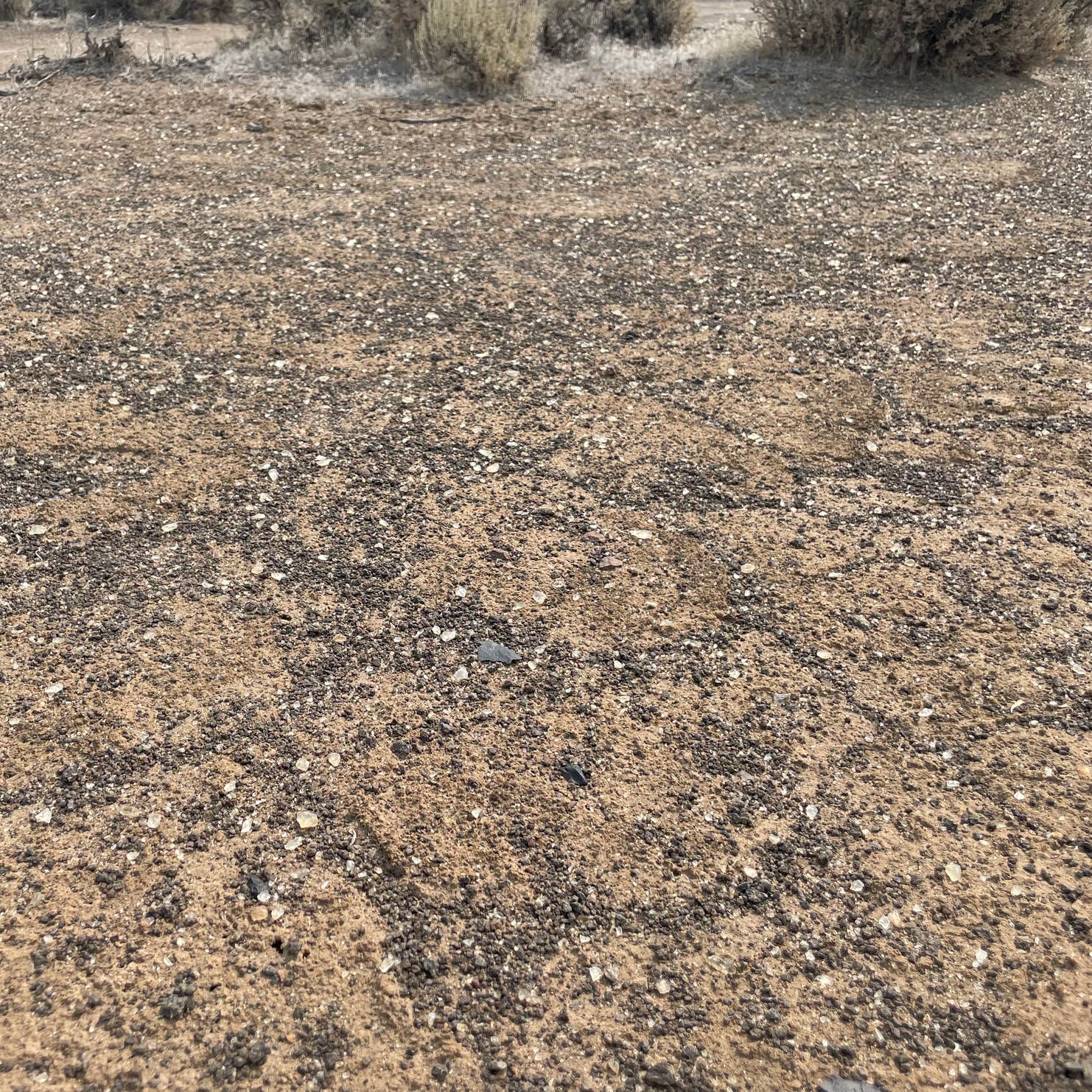 Oregon Sunstone Public Collection Area Camping Plush, OR