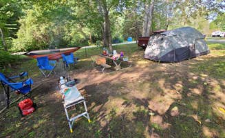 anthony F.'s photo at Lakeview Campsite near Manistee, MI