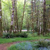 Review photo of Fairholme Campground — Olympic National Park by Kelly G., August 25, 2021