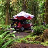 Review photo of Fairholme Campground — Olympic National Park by Kelly G., August 25, 2021