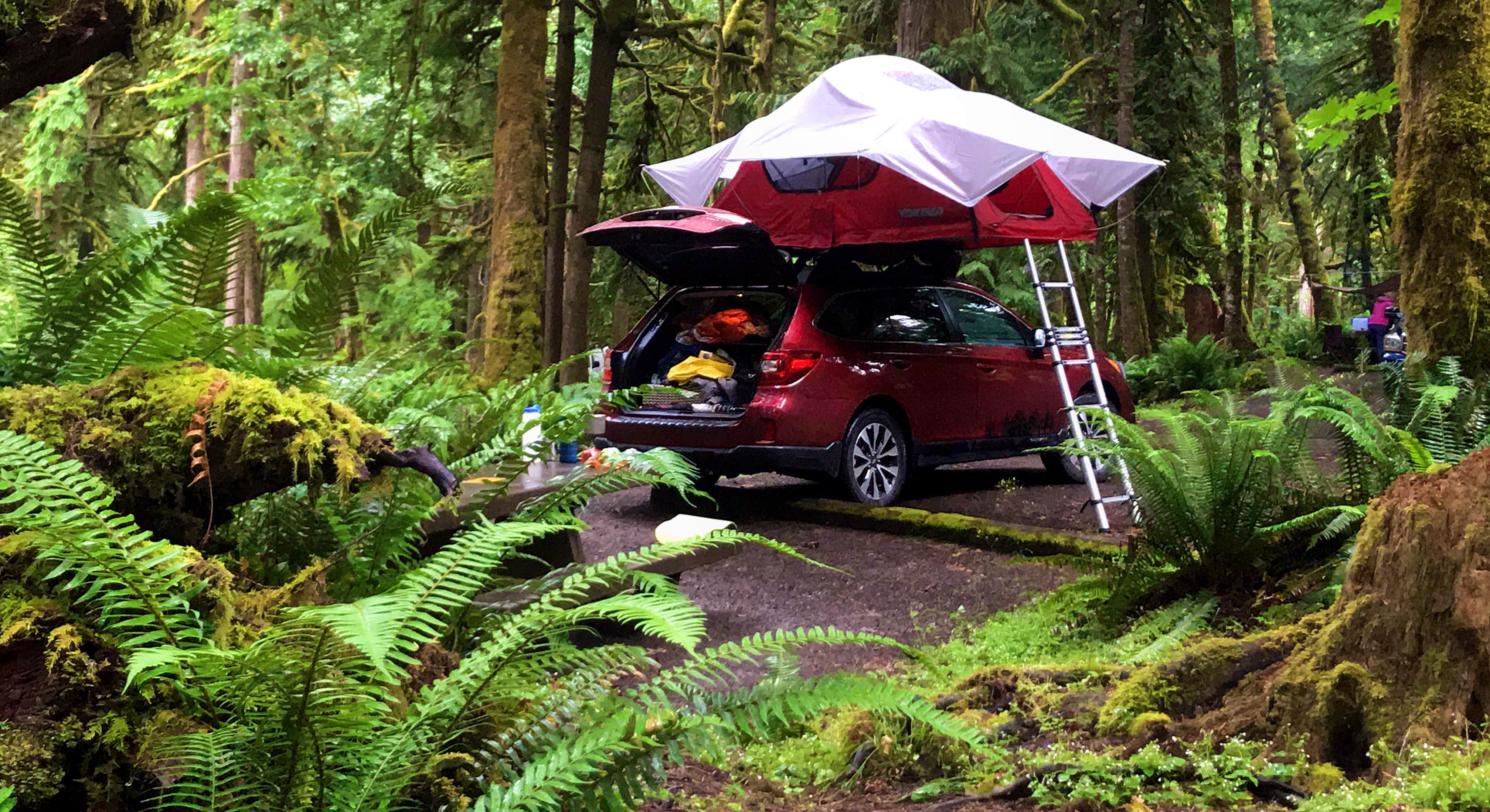 Car Tent Camping in Rainforest Settings at Fairholme Campground Near Olympic National Park
