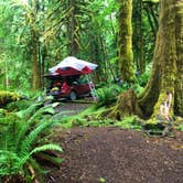 Review photo of Fairholme Campground — Olympic National Park by Kelly G., August 25, 2021