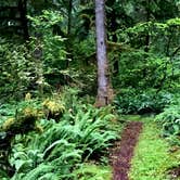 Review photo of Fairholme Campground — Olympic National Park by Kelly G., August 25, 2021