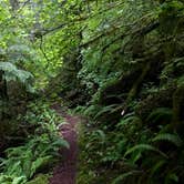 Review photo of Fairholme Campground — Olympic National Park by Kelly G., August 25, 2021