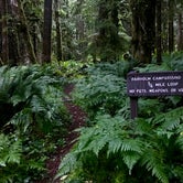 Review photo of Fairholme Campground — Olympic National Park by Kelly G., August 25, 2021