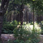 Review photo of Ainsworth State Park Campground by Robert D., August 26, 2021