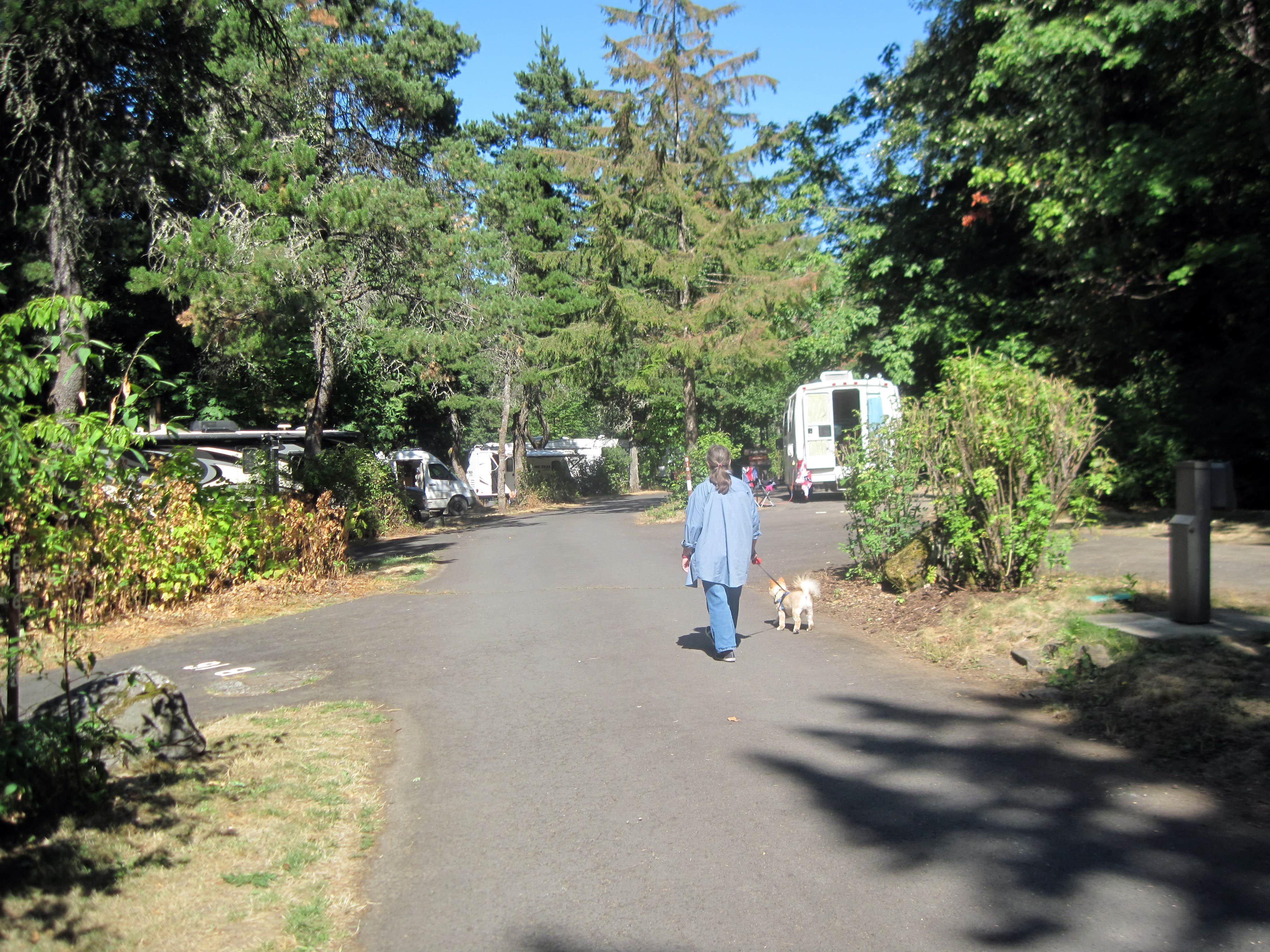 Robert D.'s photo of camping with pets at Ainsworth State Park Campground near Sandy, OR
