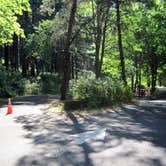 Review photo of Ainsworth State Park Campground by Robert D., August 26, 2021