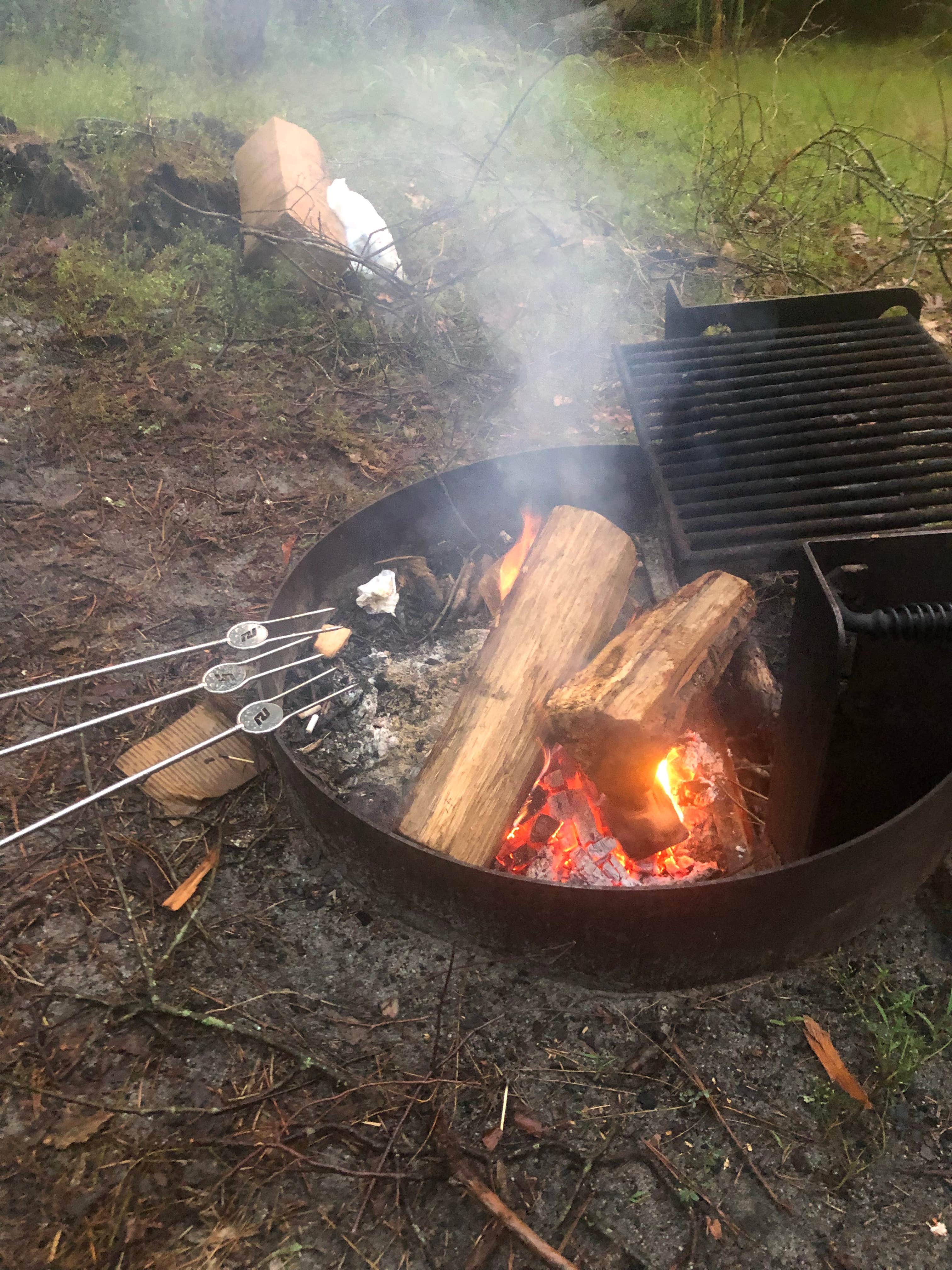 Camper submitted image from Goshen Pond — Wharton State Forest - 2