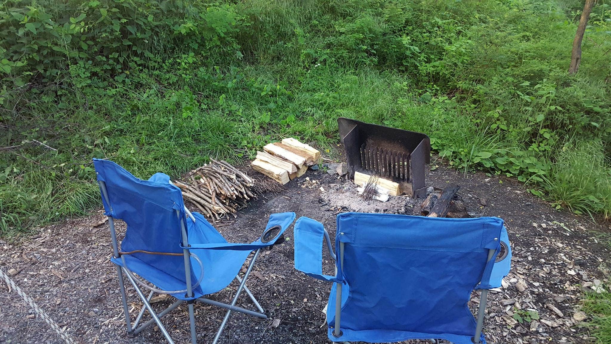 Sara W.'s photo of camping with pets at Loft Mountain Campground — Shenandoah National Park near Scottsville, VA