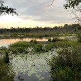 Review photo of Goshen Pond — Wharton State Forest by Eldad K., August 26, 2021