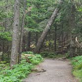 Review photo of Mount Desert Campground by Timothey S., July 9, 2021