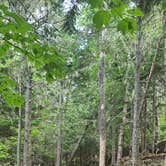 Review photo of Mount Desert Campground by Timothey S., July 9, 2021