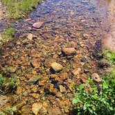 Review photo of Mount Desert Campground by Timothey S., July 9, 2021