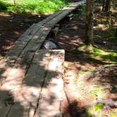 Review photo of Mount Desert Campground by Timothey S., July 9, 2021