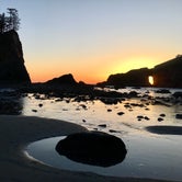 Review photo of Mora Campground — Olympic National Park by Kelly G., August 26, 2021