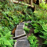 Review photo of Mora Campground — Olympic National Park by Kelly G., August 26, 2021