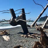 Review photo of Mora Campground — Olympic National Park by Kelly G., August 26, 2021