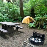 Review photo of Mora Campground — Olympic National Park by Kelly G., August 26, 2021