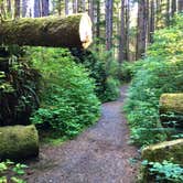 Review photo of Mora Campground — Olympic National Park by Kelly G., August 26, 2021