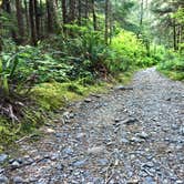 Review photo of Mora Campground — Olympic National Park by Kelly G., August 26, 2021