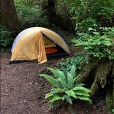 Review photo of Mora Campground — Olympic National Park by Kelly G., August 26, 2021