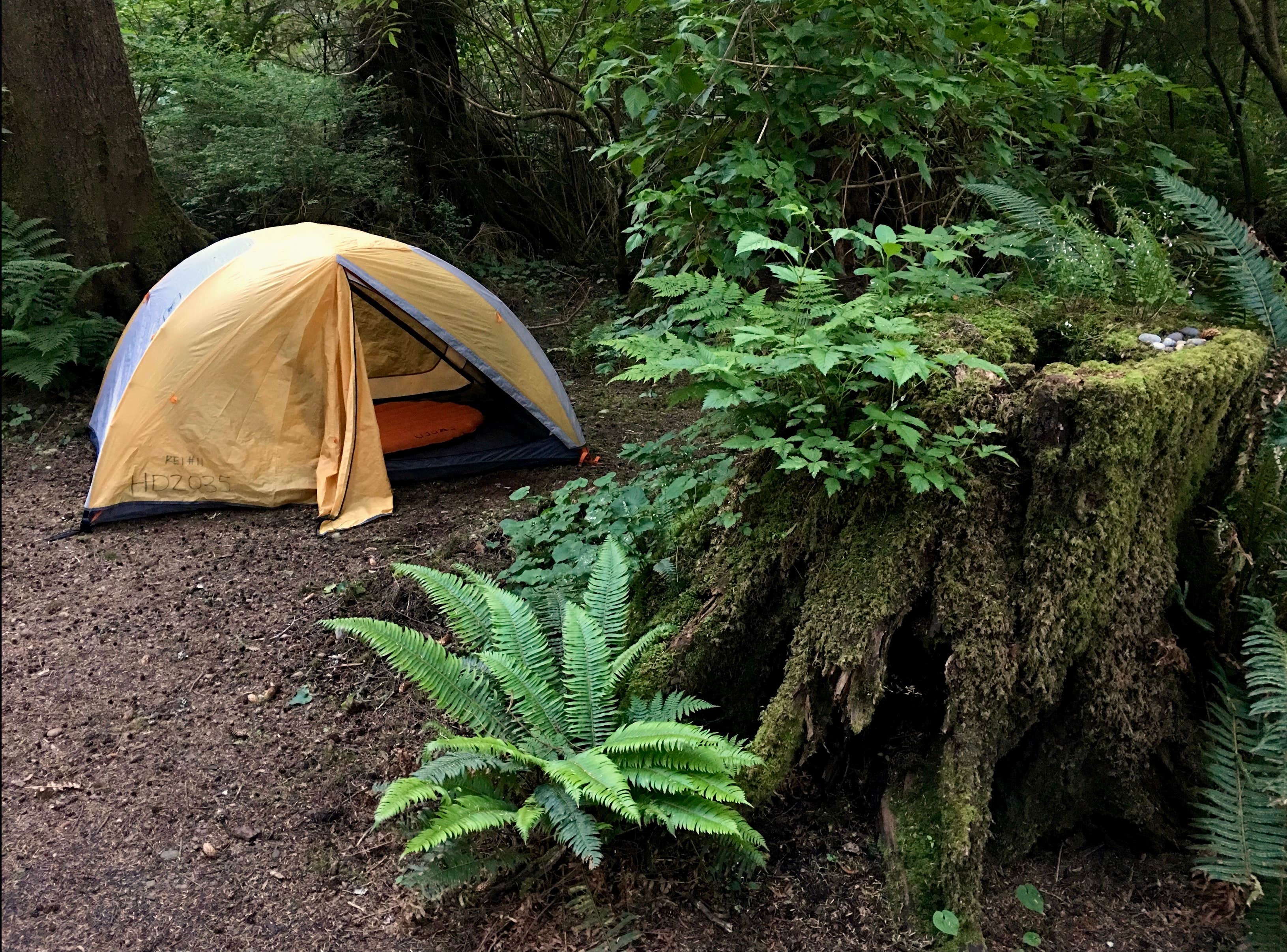 Camper submitted image from Mora Campground — Olympic National Park - 1