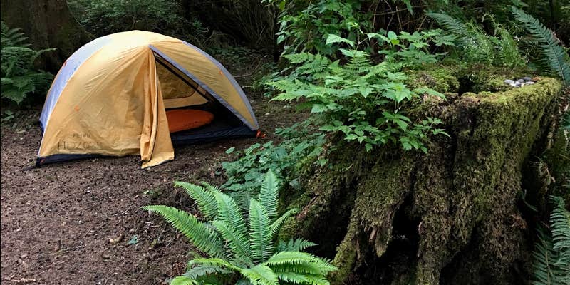 Camper submitted image from Mora Campground — Olympic National Park