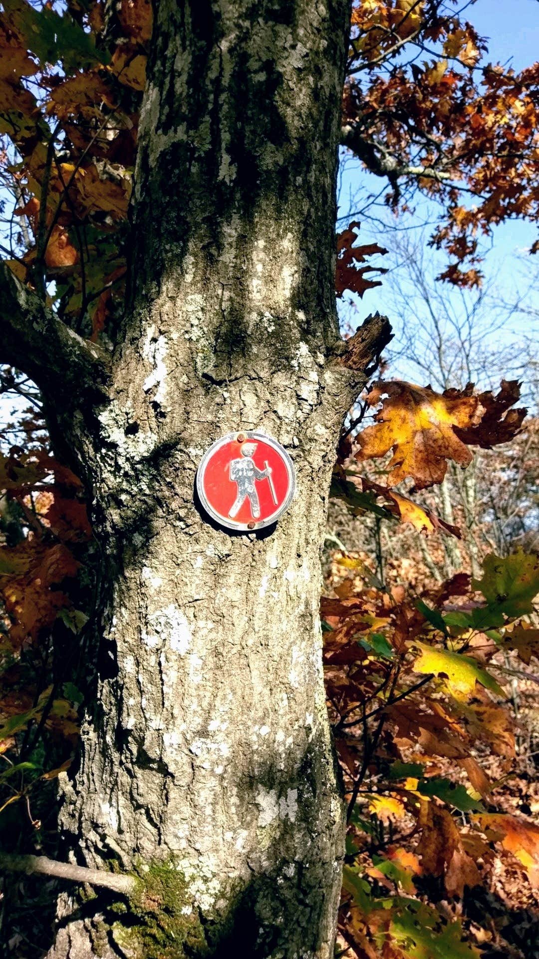 Camper-submitted photo at Mount Magazine State Park Campground near Casa, AR