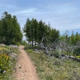 Review photo of Dutch Hill Campground — Steamboat Lake State Park by Momo S., August 26, 2021