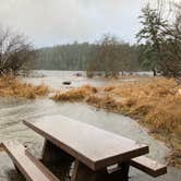 Review photo of Ozette Campground - Olympic National Park by Paul T., August 26, 2021