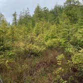 Review photo of Hobuck Resort and Beach Area by Paul T., August 26, 2021