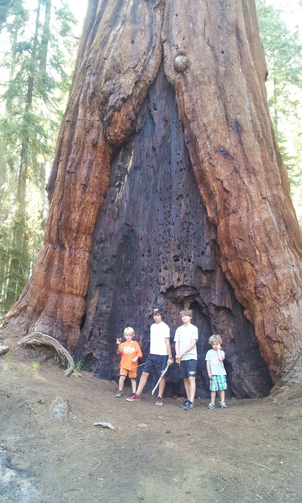 Camper-submitted photo at Dorst Creek Campground — Sequoia National Park - TEMPORARILY CLOSED near Hume, CA